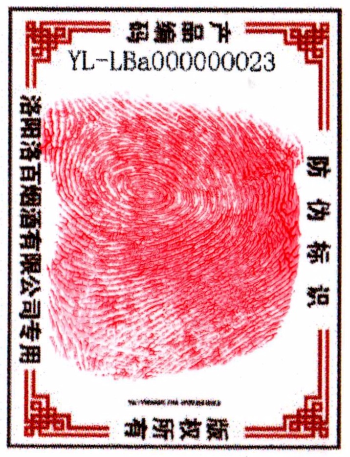 扫描1 600_副本.jpg1.jpg