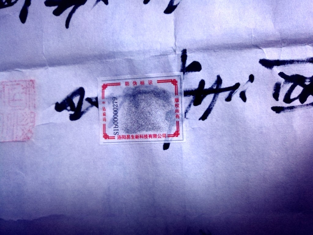 1513569326312417.jpg
